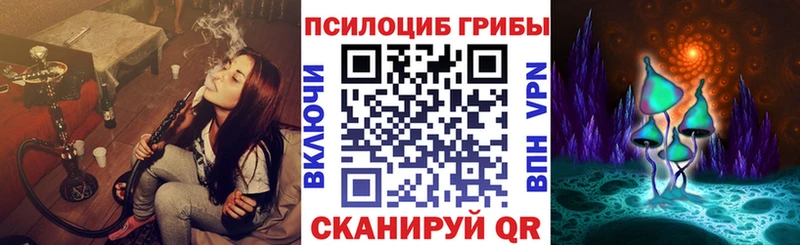 купить наркотики цена  Городовиковск  Псилоцибиновые грибы ЛСД 