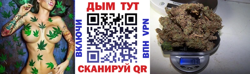 Марихуана ГИДРОПОН  купить   ссылка на мегу ссылка  сайты даркнета телеграм  Городовиковск 